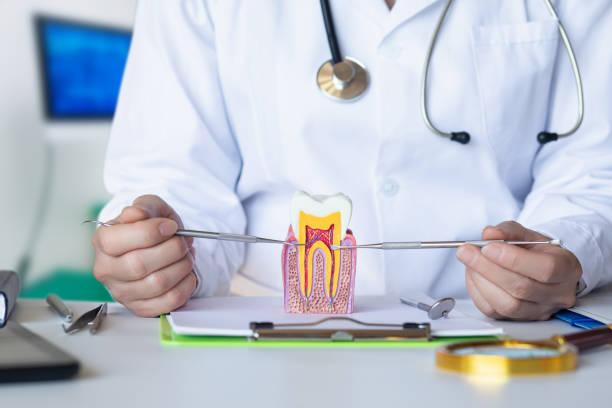 Best Urgent Tooth Repair  in Sebring, OH